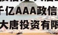 陕国投信托-大唐盛世2号千亿AAA政信（陕西大唐投资有限公司）