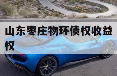 山东枣庄物环债权收益权
