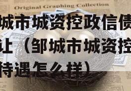 邹城市城资控政信债权转让（邹城市城资控政信待遇怎么样）