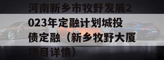 河南新乡市牧野发展2023年定融计划城投债定融（新乡牧野大厦项目详情）