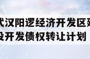 武汉阳逻经济开发区建设开发债权转让计划