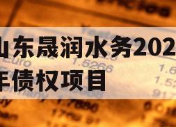山东晟润水务2023年债权项目