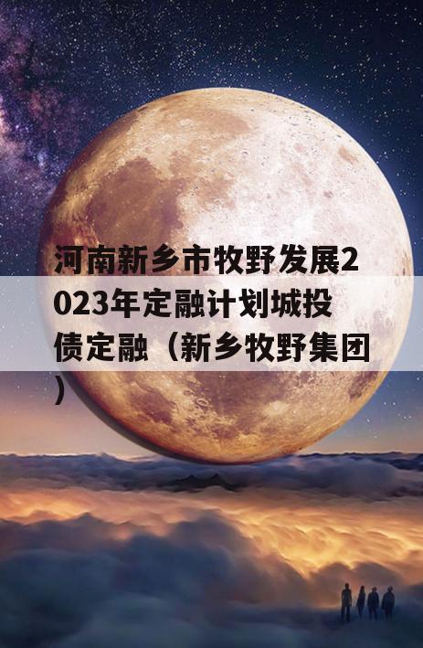 河南新乡市牧野发展2023年定融计划城投债定融（新乡牧野集团）