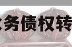 简阳水务债权转让项目