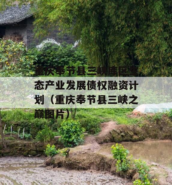 重庆奉节县三峡库区生态产业发展债权融资计划（重庆奉节县三峡之巅图片）