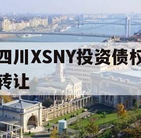 四川XSNY投资债权转让