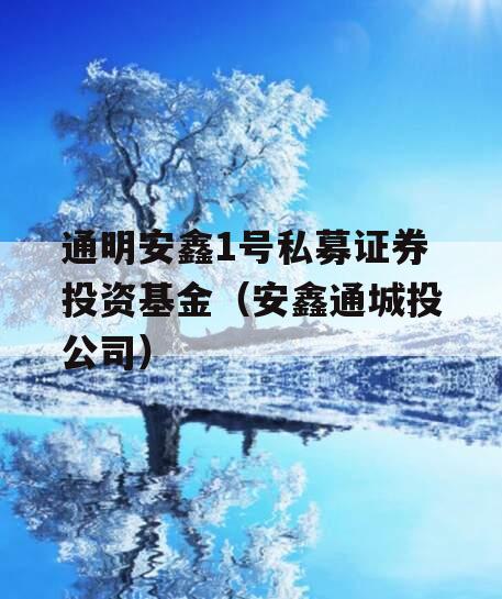 通明安鑫1号私募证券投资基金（安鑫通城投公司）