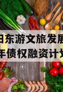 绵阳东游文旅发展2024年债权融资计划