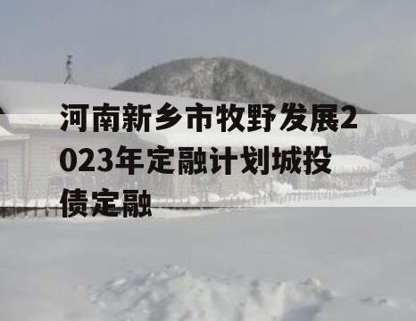 河南新乡市牧野发展2023年定融计划城投债定融
