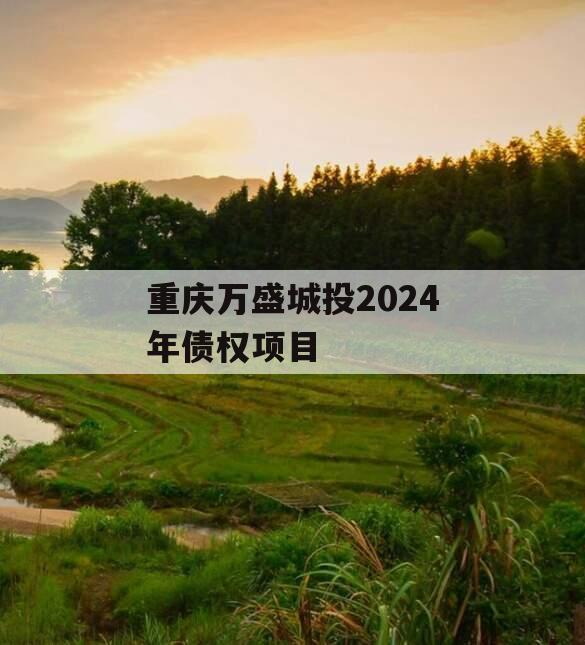 重庆万盛城投2024年债权项目