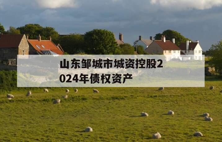 山东邹城市城资控股2024年债权资产