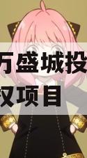 重庆万盛城投2024年债权项目