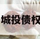 万盛城投债权项目