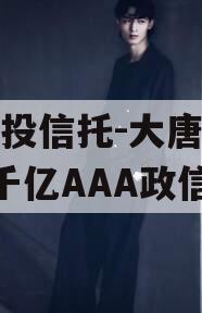 陕国投信托-大唐盛世2号千亿AAA政信