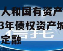 内江人和国有资产经营2023年债权资产城投债定融