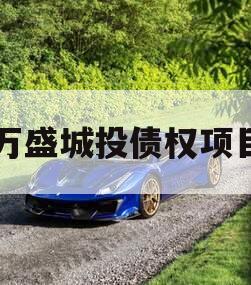 万盛城投债权项目