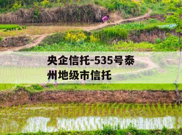 央企信托-535号泰州地级市信托