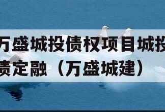 万盛城投债权项目城投债定融（万盛城建）
