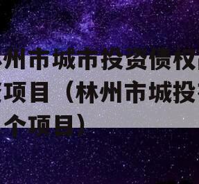 林州市城市投资债权融资项目（林州市城投有几个项目）