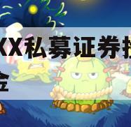 XXXX私募证券投资基金