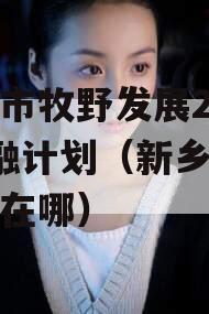 新乡市牧野发展2023定融计划（新乡牧野小区在哪）