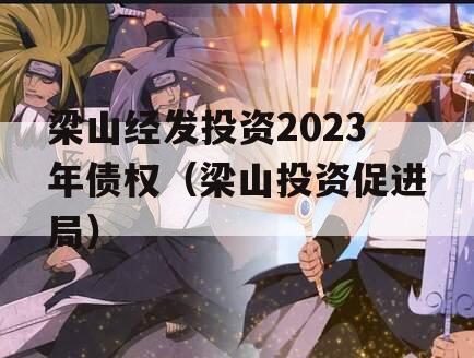 梁山经发投资2023年债权（梁山投资促进局）