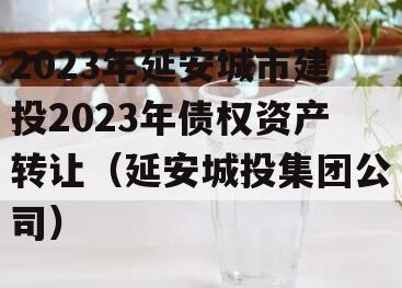 2023年延安城市建投2023年债权资产转让（延安城投集团公司）