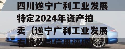 四川遂宁广利工业发展特定2024年资产拍卖（遂宁广利工业发展有限公司信用评级）