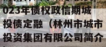 河南林州市城市投资2023年债权政信期城投债定融（林州市城市投资集团有限公司简介）
