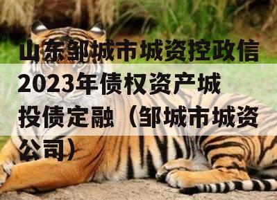 山东邹城市城资控政信2023年债权资产城投债定融（邹城市城资公司）