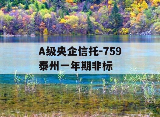 A级央企信托-759泰州一年期非标