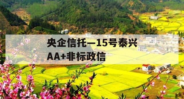 央企信托—15号泰兴AA+非标政信