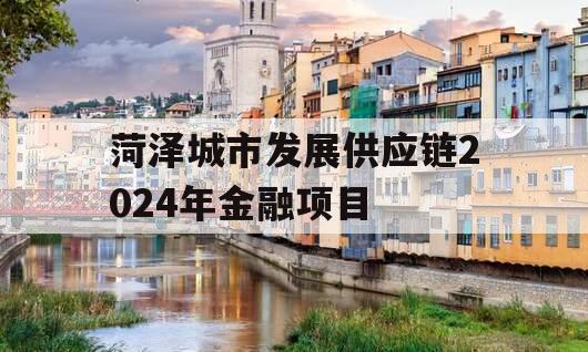 菏泽城市发展供应链2024年金融项目