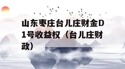 山东枣庄台儿庄财金D1号收益权（台儿庄财政）