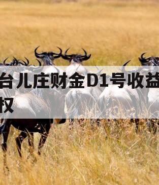台儿庄财金D1号收益权