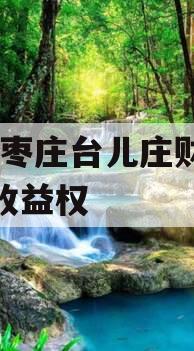 山东枣庄台儿庄财金D1号收益权