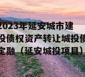 2023年延安城市建投债权资产转让城投债定融（延安城投项目）