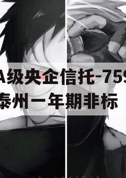 A级央企信托-759泰州一年期非标