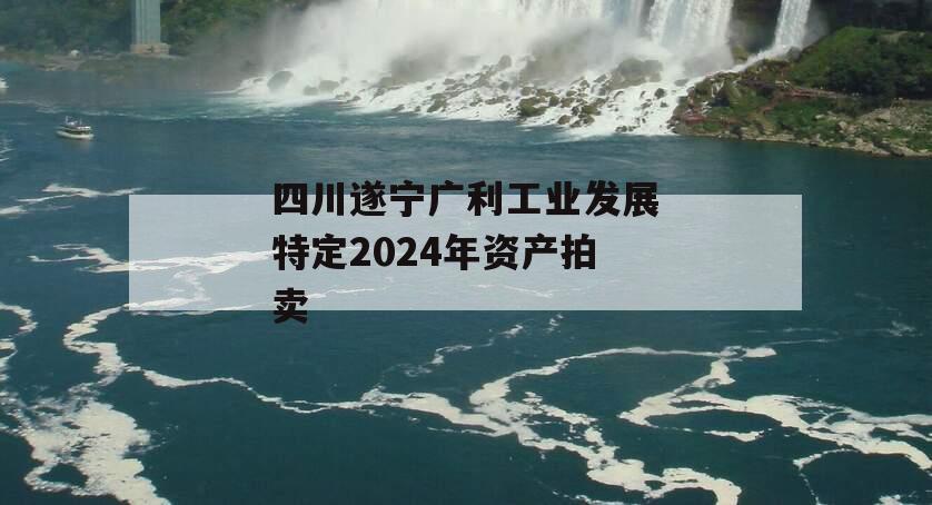 四川遂宁广利工业发展特定2024年资产拍卖
