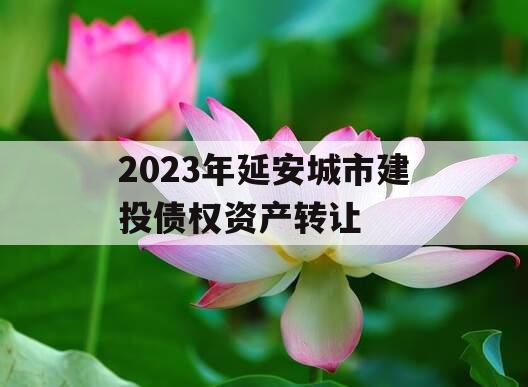 2023年延安城市建投债权资产转让