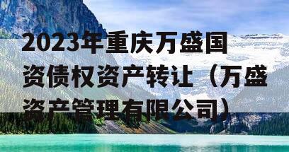 2023年重庆万盛国资债权资产转让（万盛资产管理有限公司）