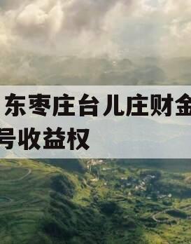 山东枣庄台儿庄财金D1号收益权