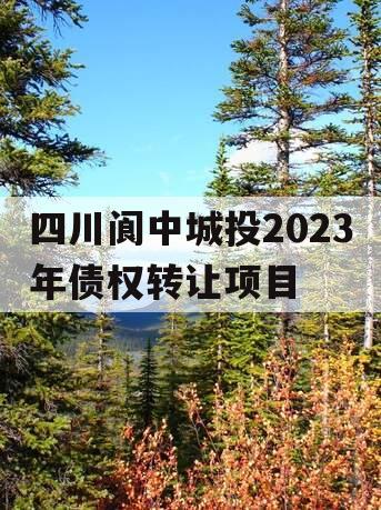 四川阆中城投2023年债权转让项目