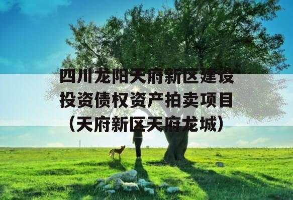 四川龙阳天府新区建设投资债权资产拍卖项目（天府新区天府龙城）
