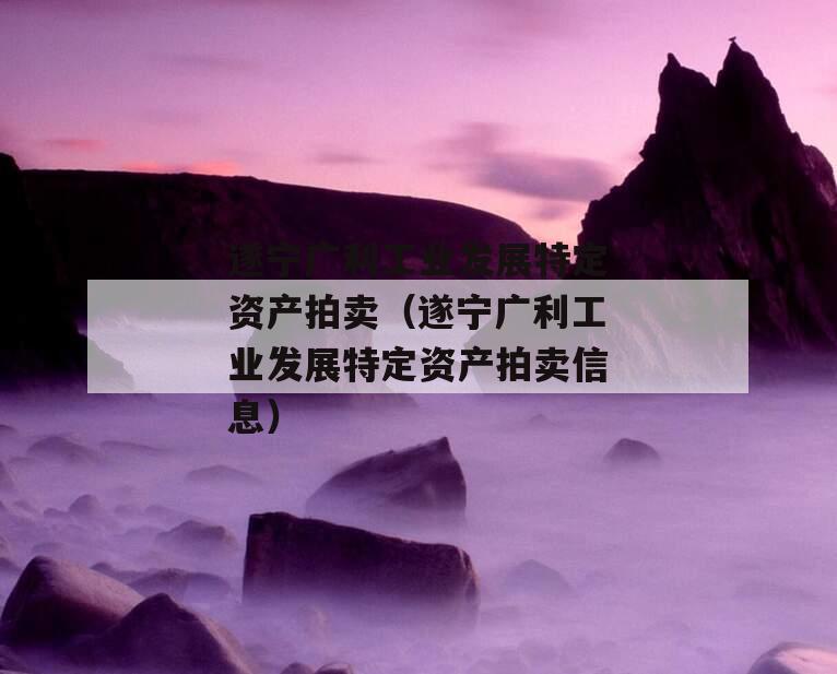 遂宁广利工业发展特定资产拍卖（遂宁广利工业发展特定资产拍卖信息）