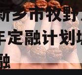 河南新乡市牧野发展2023年定融计划城投债定融