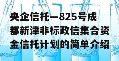 央企信托—825号成都新津非标政信集合资金信托计划的简单介绍
