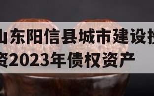 山东阳信县城市建设投资2023年债权资产