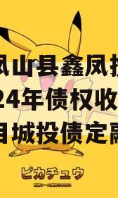 广西凤山县鑫凤投资发展2024年债权收益权项目城投债定融