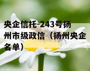 央企信托-243号扬州市级政信（扬州央企名单）